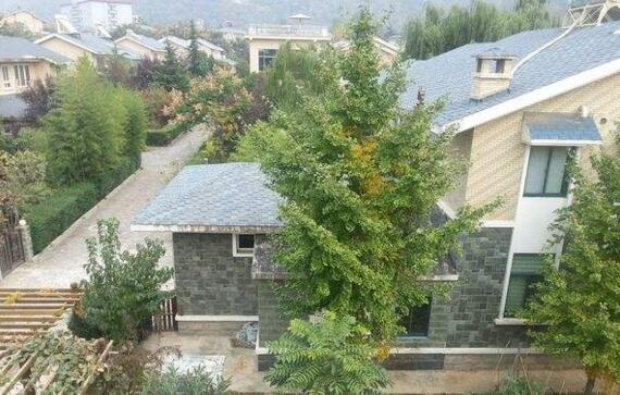 �S���ڄe��