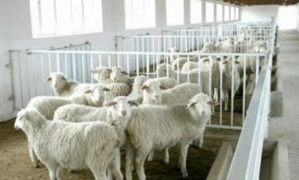 �F(xi��n)���B(y��ng)ֳ��(ch��ng)�����x����ι�ˮ�O(sh��)����